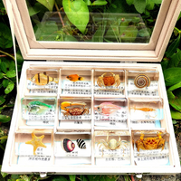 Thumbnail for Insekten Sammlung | Einzigartige Tierische Exemplare - 12 Holz-Insekten in Harz
