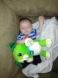 ColorCount | Leer & tel - Panda rouge interactif