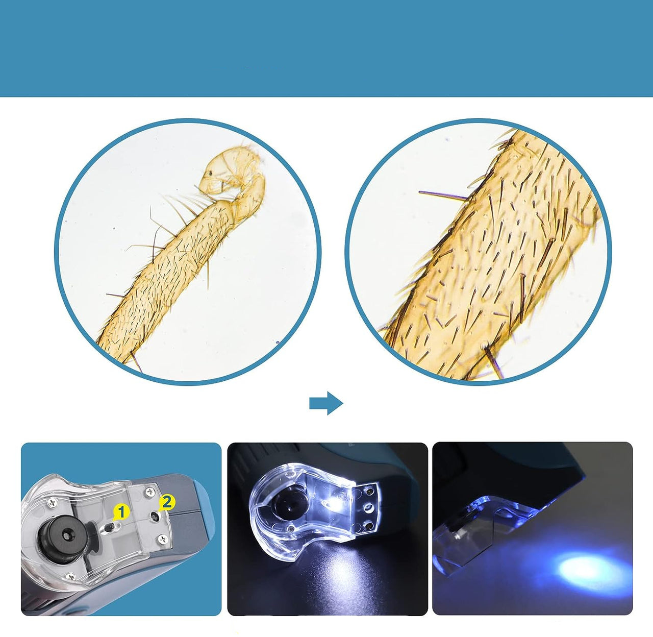 MicroQuest | Entdecke die unsichtbare Welt - Tragbares Mikroskop mit 3 Linsen und LED-Beleuchtung