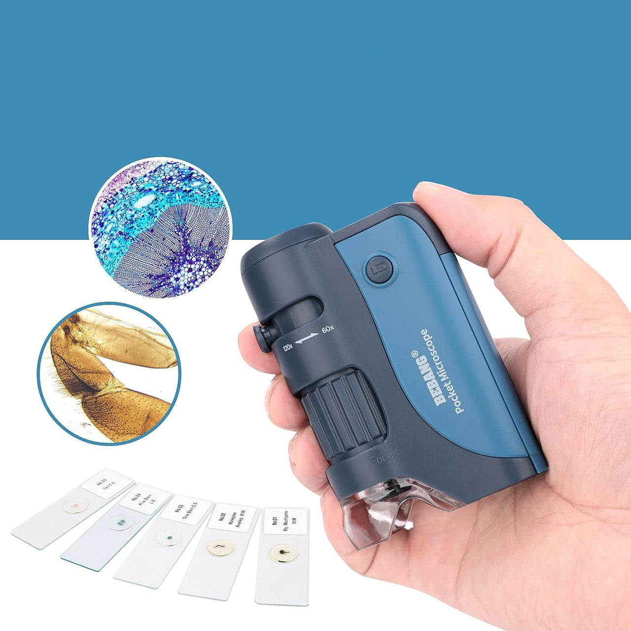 MicroQuest | Entdecke die unsichtbare Welt - Tragbares Mikroskop mit 3 Linsen und LED-Beleuchtung
