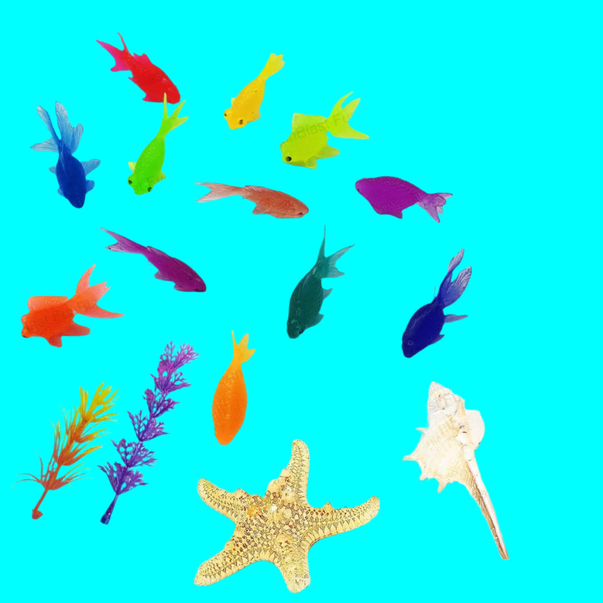 AquaPals | Splashing play fun - Cute rubber fish for bath and water fun