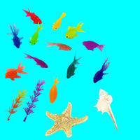 Thumbnail for AquaPals | Splashing play fun - Cute rubber fish for bath and water fun