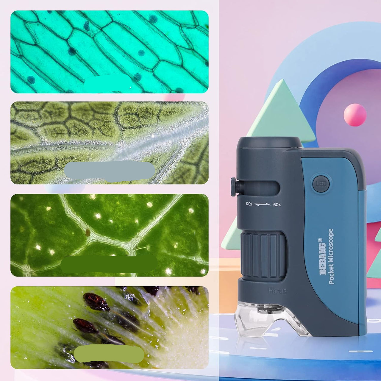 MicroQuest | Entdecke die unsichtbare Welt - Tragbares Mikroskop mit 3 Linsen und LED-Beleuchtung