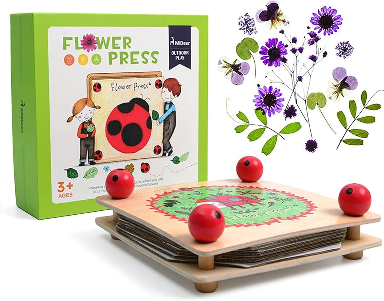 BlossomCraft | Arte naturale creativa - Set per creare con fiori pressati