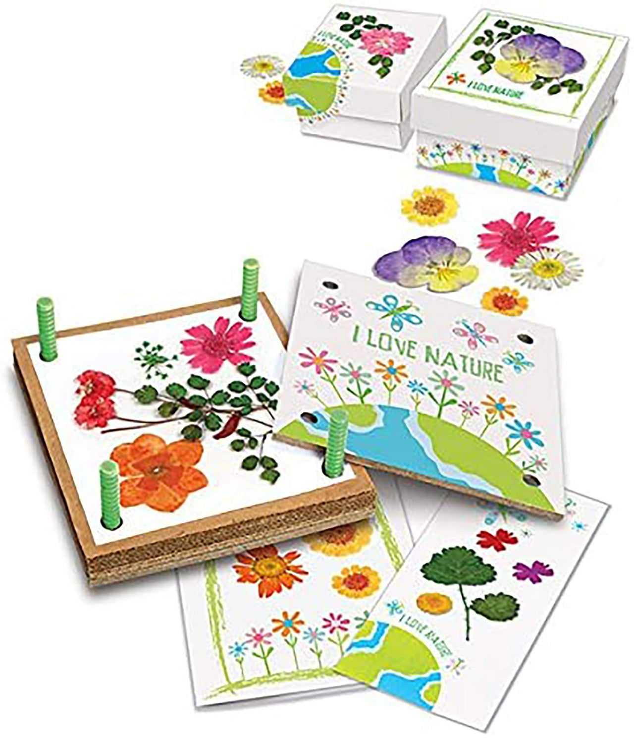BlossomCraft | Arte naturale creativa - Set per creare con fiori pressati