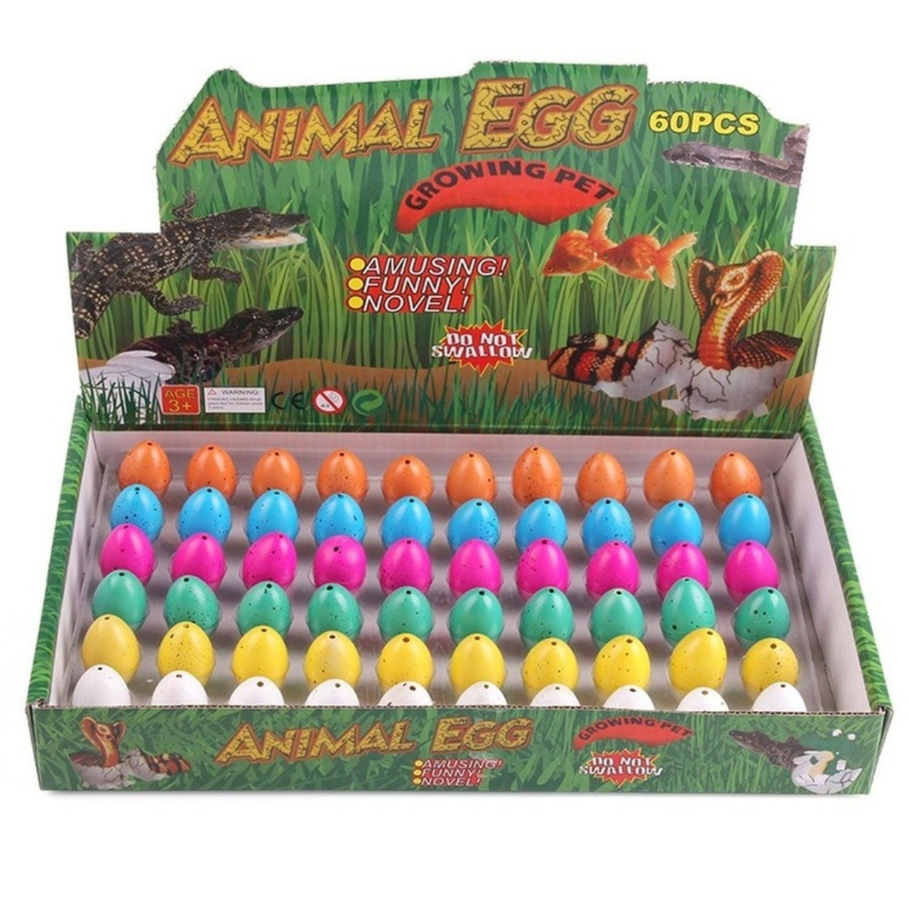 Water Expansion Dino Eggs | Magic Toy - See Dinosaurs Grow