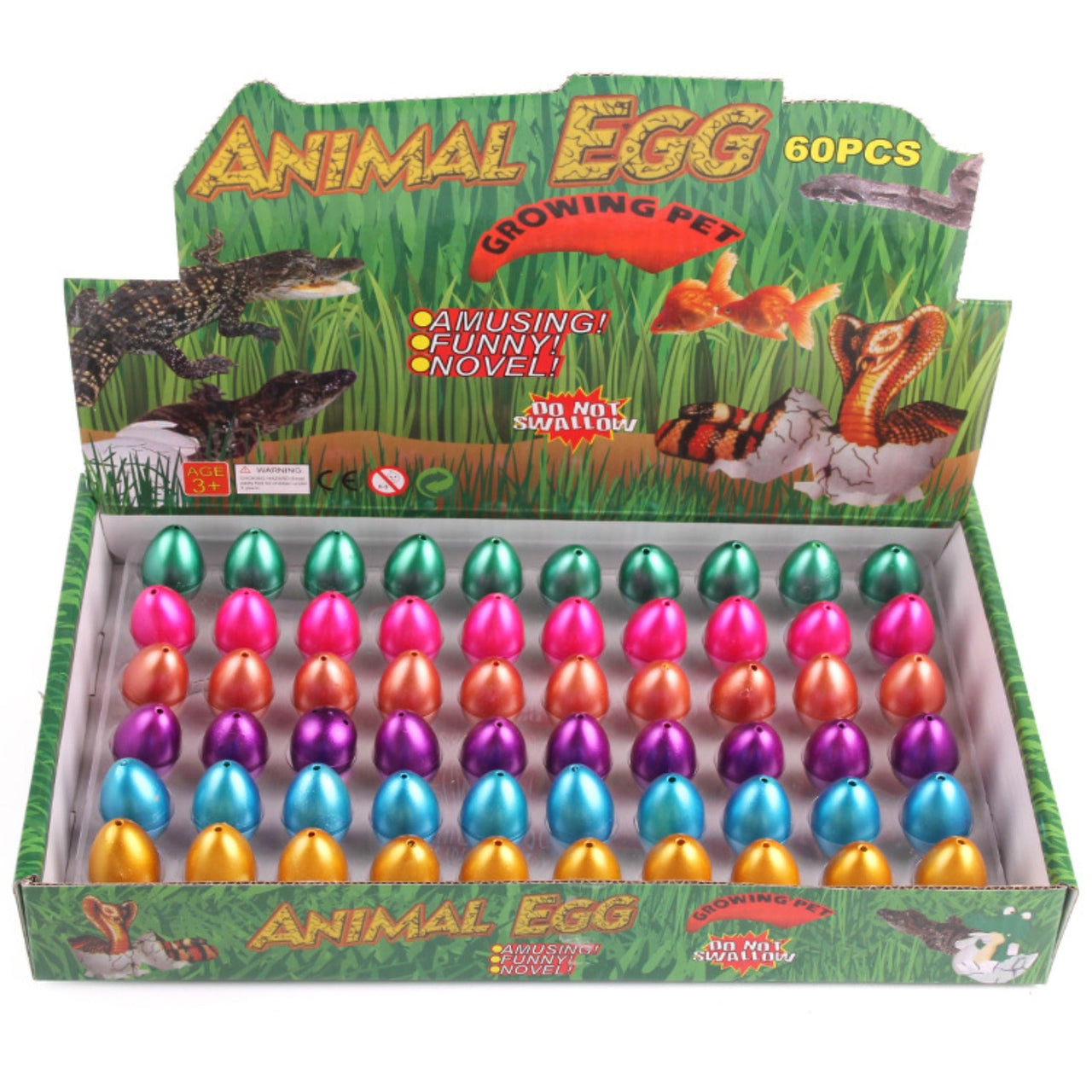 Water Expansion Dino Eggs | Magic Toy - See Dinosaurs Grow