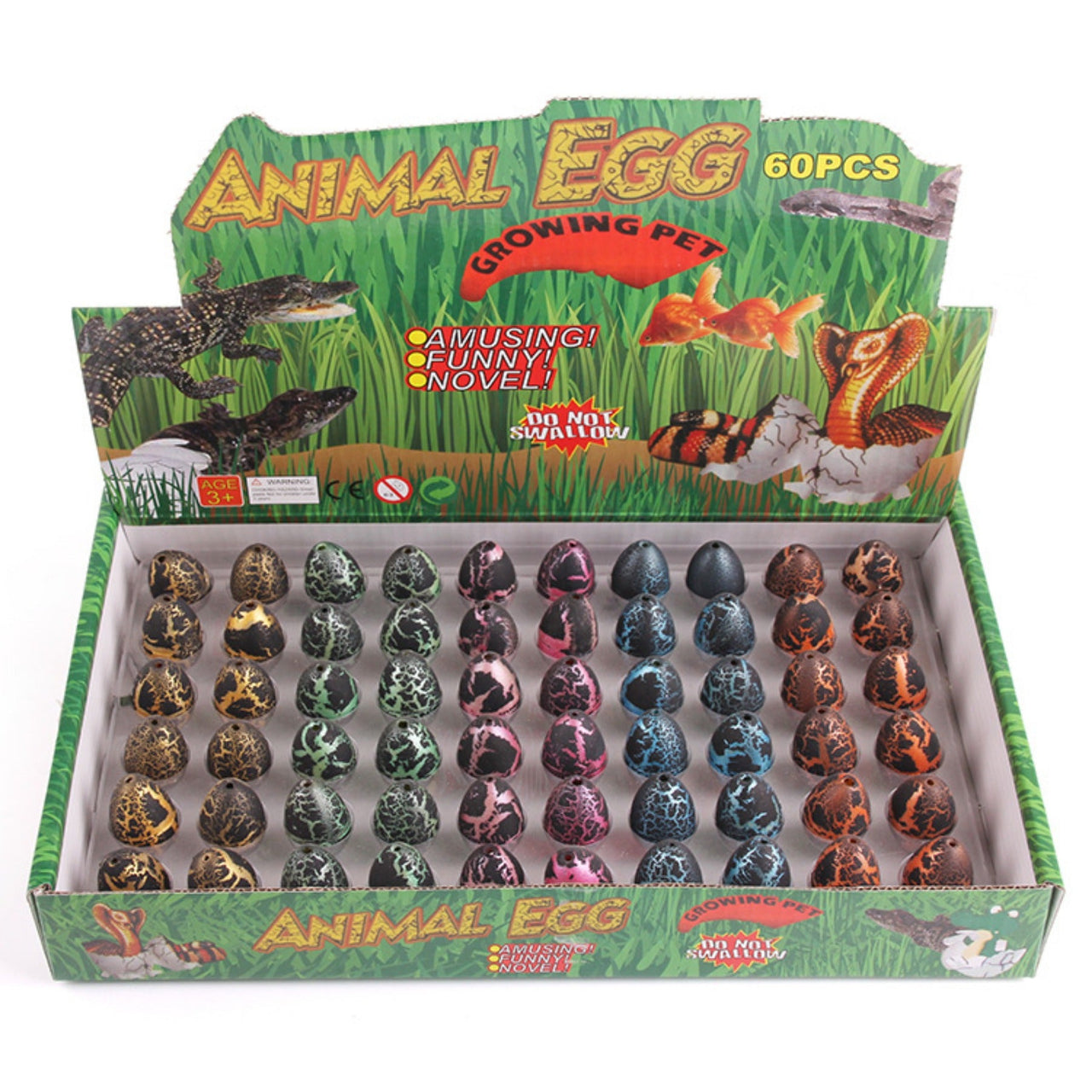 Water Expansion Dino Eggs | Magic Toy - See Dinosaurs Grow