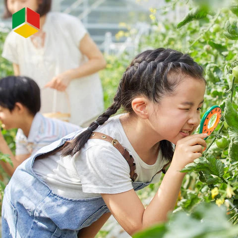 Insectenset voor Kinderen met Terrarium, Vergrootglas en Vangnet - Educatief Speelgoed voor Buitenavonturen 3