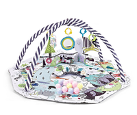 Thumbnail for Multifunctioneel 8-in-1 Speelkleed Baby met 6 Afneembare Speeltjes voor Zintuiglijke Ontwikkeling en Motoriek – Meerkleurig 8