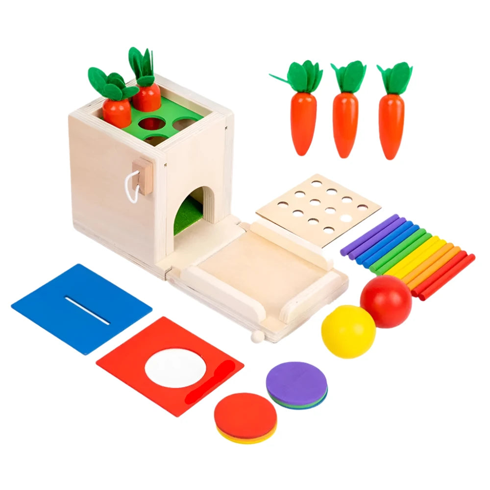 Ecotoys SmartStart Box | Desarrolla las habilidades de tu pequeño - Experiencia de aprendizaje lúdica para colores y formas