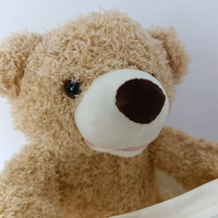 Thumbnail for PeekABear | Divertimento magico per ogni bambino - Orso di peluche interattivo