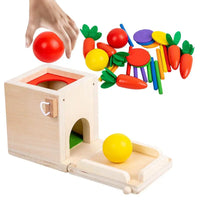 Thumbnail for Ecotoys SmartStart Box | Desarrolla las habilidades de tu pequeño - Experiencia de aprendizaje lúdica para colores y formas