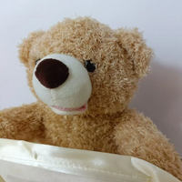 Thumbnail for PeekABear | Divertimento magico per ogni bambino - Orso di peluche interattivo