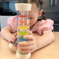 Thumbnail for Ecotoys RainTune | Soothing rain music toy - Montessori Wooden Rain Rattle!