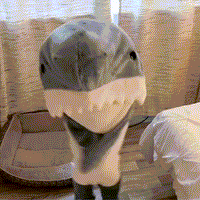 Thumbnail for Koc Rekin | Gezellig - Przenośny Koc Rekin dla Każdego