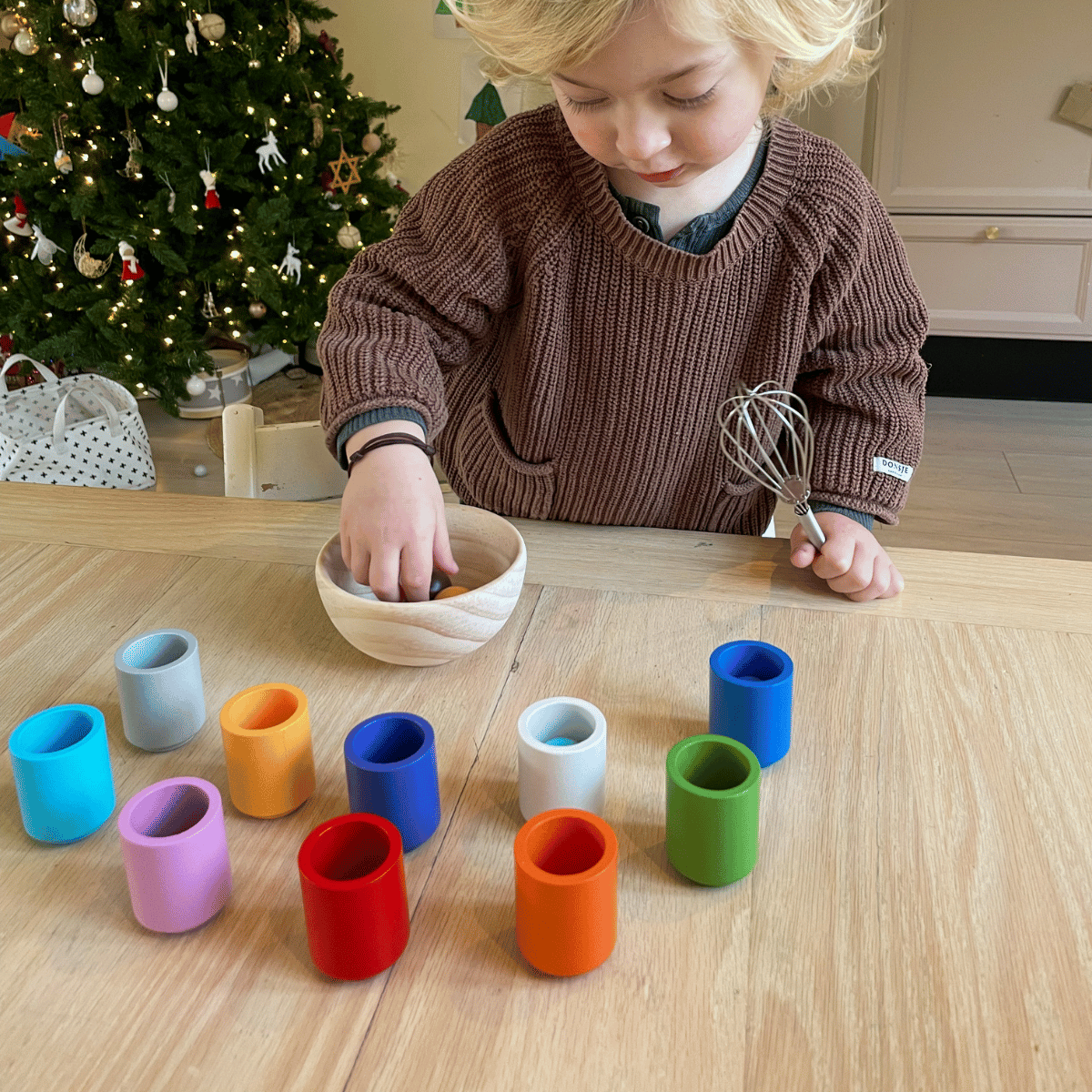 EcoToys ColorJoy | Develop creativity and motor skills - Colorful Wooden Sorting Game