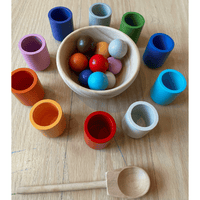 Thumbnail for EcoToys ColorJoy | Develop creativity and motor skills - Colorful Wooden Sorting Game