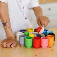 Thumbnail for EcoToys ColorJoy | Develop creativity and motor skills - Colorful Wooden Sorting Game