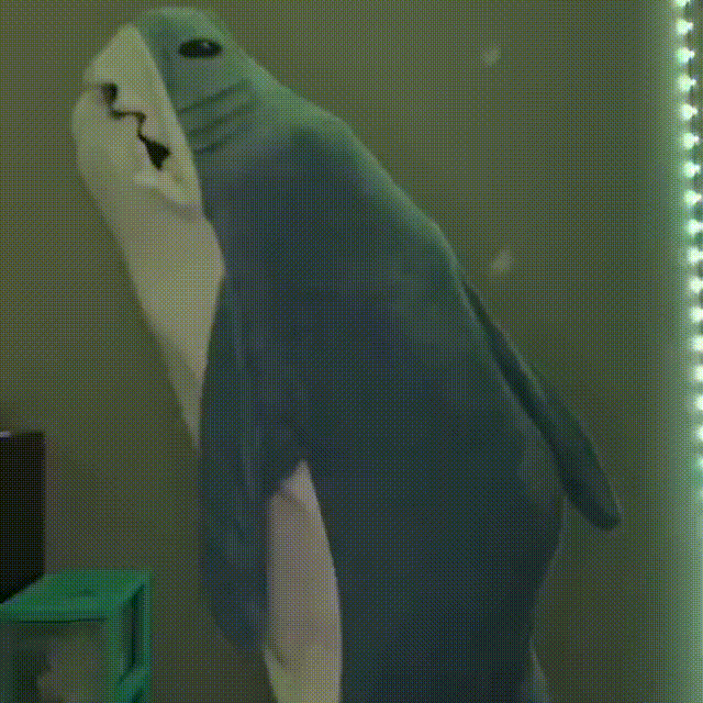 Koc Rekin | Gezellig - Przenośny Koc Rekin dla Każdego