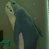 Thumbnail for Koc Rekin | Gezellig - Przenośny Koc Rekin dla Każdego