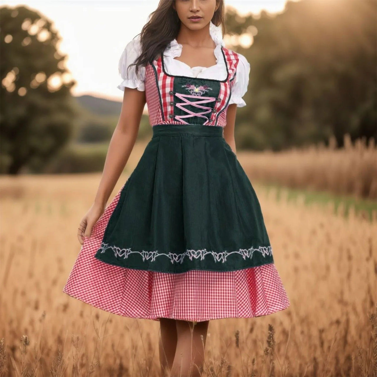 Dirndl jurk dames met rood-wit geruit patroon, zwarte rok en witte blouse met corsage