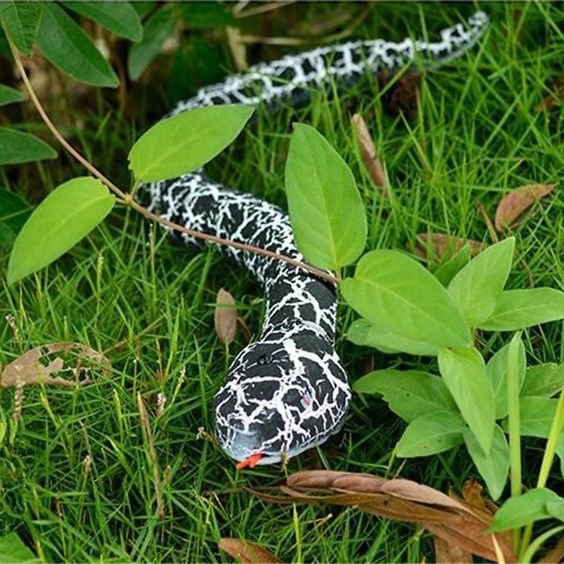 SnakeTrick | Hilarische schrikreacties gegarandeerd! - Afstandsbedienbare slang voor grappen en spel html Copy Edit